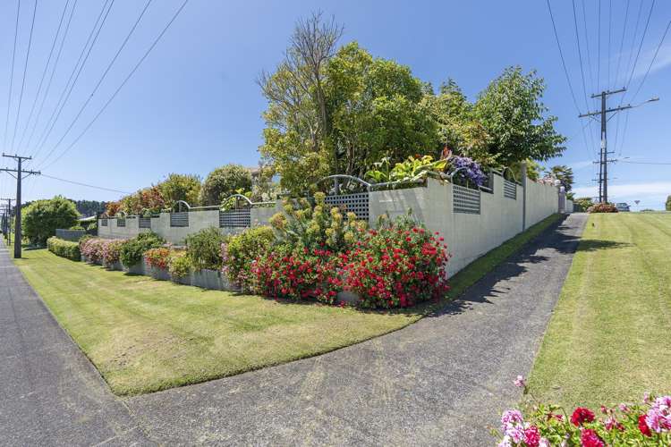 50 Leslie Street Waitara_45