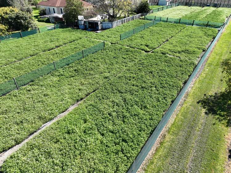 288 Lavenham Road Waituhi_2