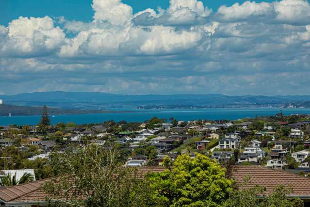 52 Sunrise Avenue Mairangi Bay_2