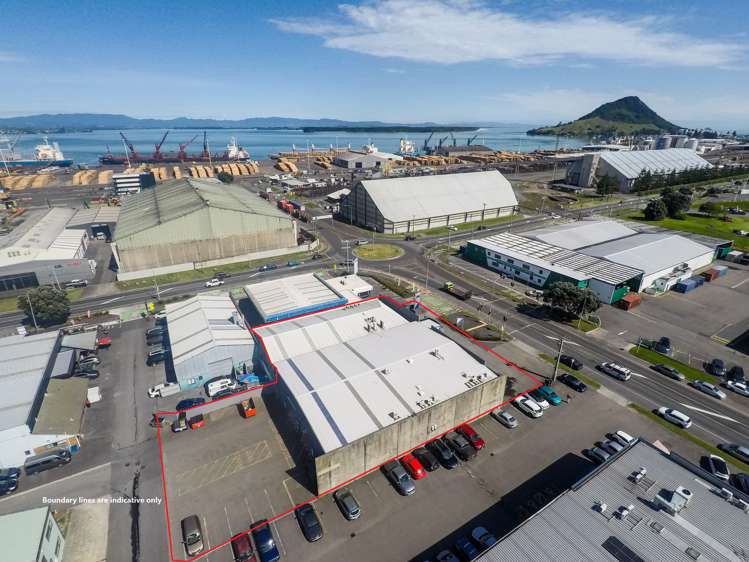105 Hull Road Mt Maunganui_1