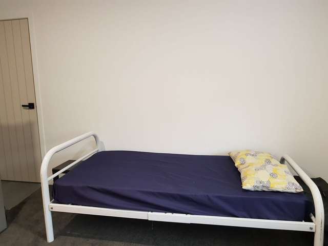 9 Yulia Road Flat Bush_2