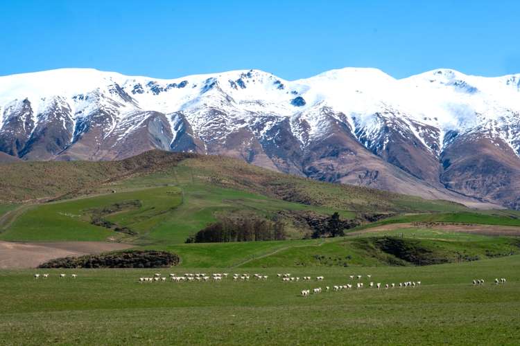 347 Butlers Road Fairlie_9