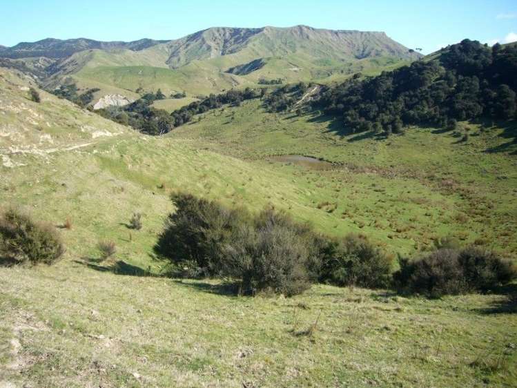 419 Spur Road Pongaroa_13