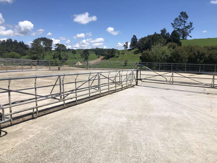 110 Stringers Road Putaruru_7