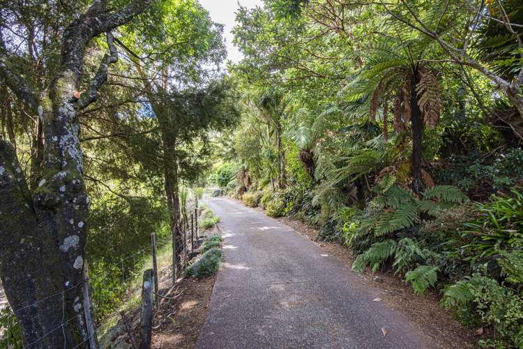 72 Bedlington Street Whau Valley_29