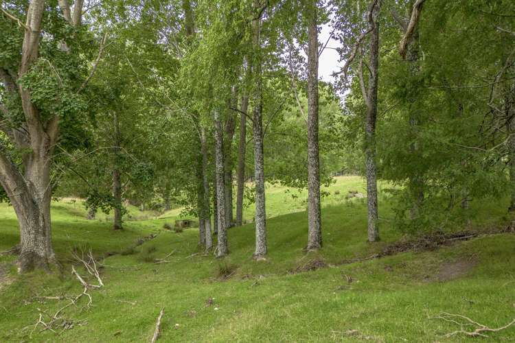 1344 Ngapaeruru Road Dannevirke_6