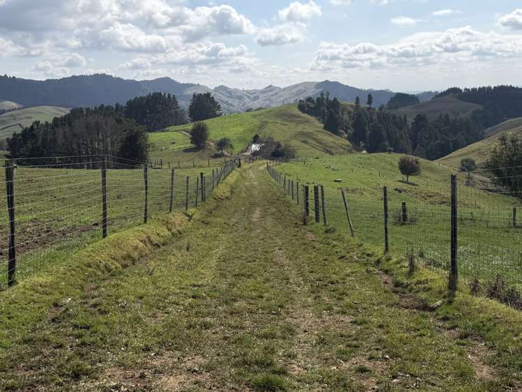 1026 Limeworks Loop Road Karamu_30