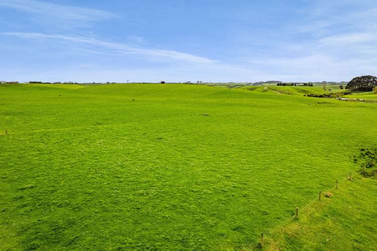 226 Ngarongo Road Normanby_18