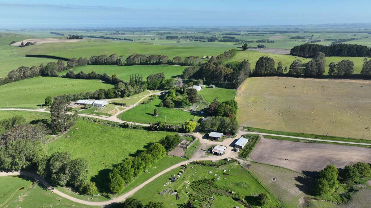 463 Dog Kennel Road_1