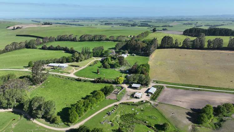 463 Dog Kennel Road Ikawai_5