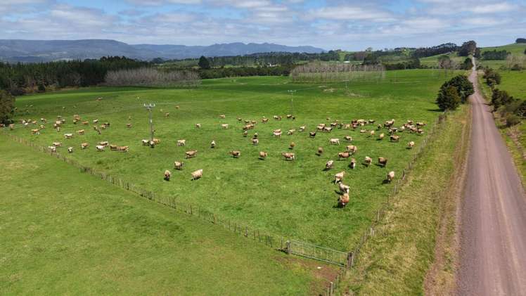 374 Rakauwahia Road Taheke_5