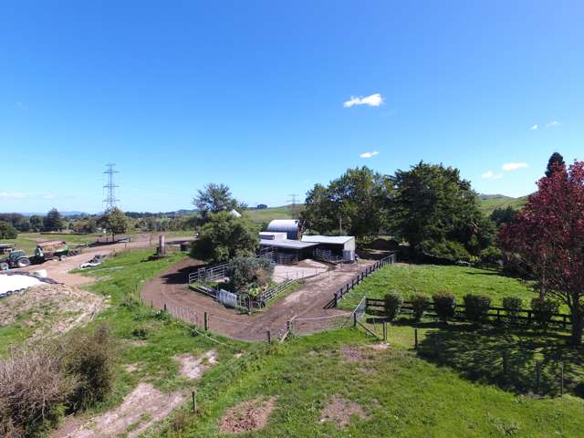 625 Tauhei Road Morrinsville_2