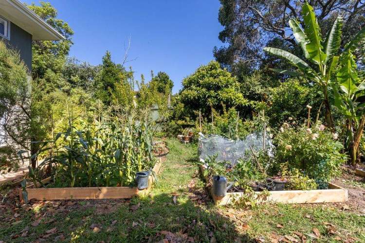 1/49 Seabrook Avenue New Lynn_13