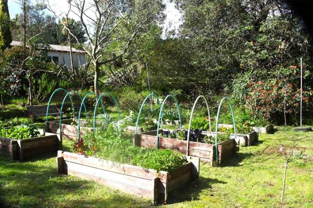 66 Palmer Road Foxton Beach_2