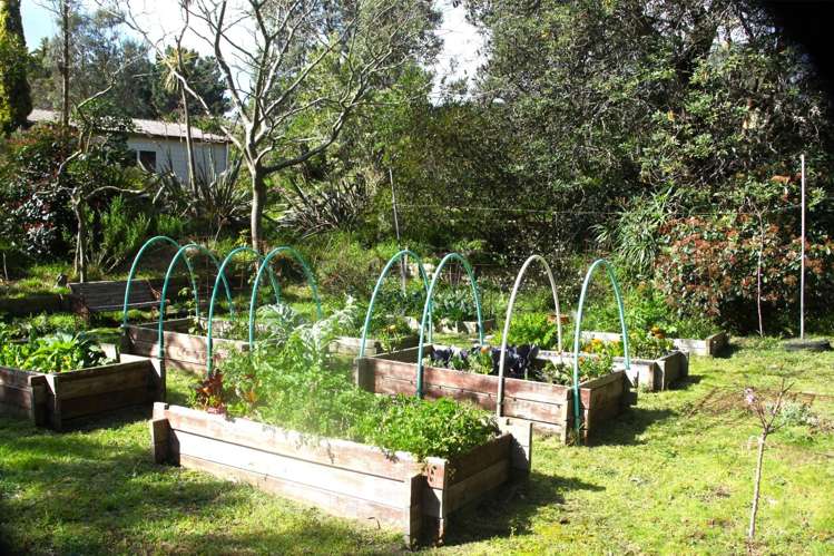 66 Palmer Road Foxton Beach_20