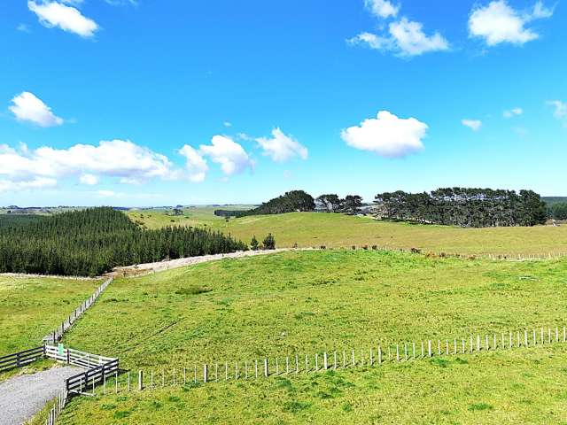 Babylon Coast Road Dargaville_2