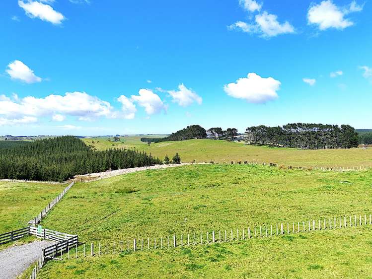 Babylon Coast Road_2