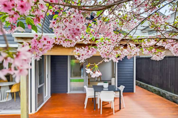 8 Poaka Road Hobsonville_27