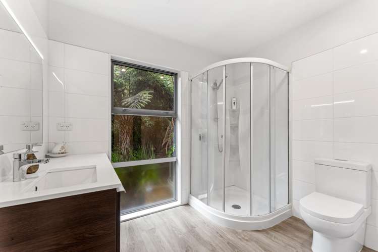276B Smyth Road Dome Forest_18