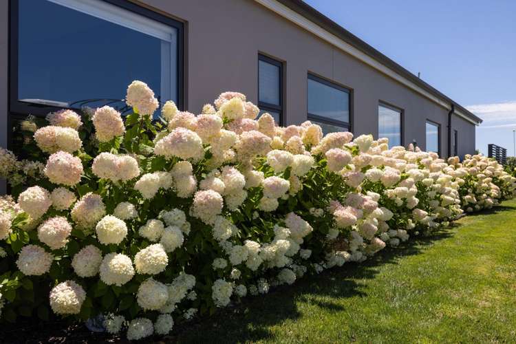 567A Minden Road Te Puna_29