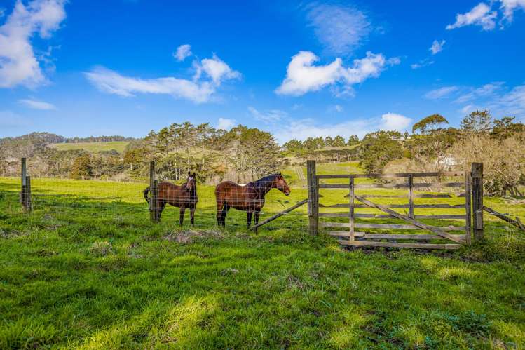 276 Taiapa Road Muriwai_21