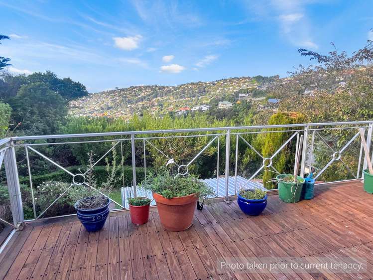 71B Kidson Terrace Cashmere_15