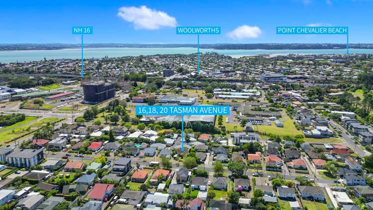 16 Tasman Avenue Mount Albert_17