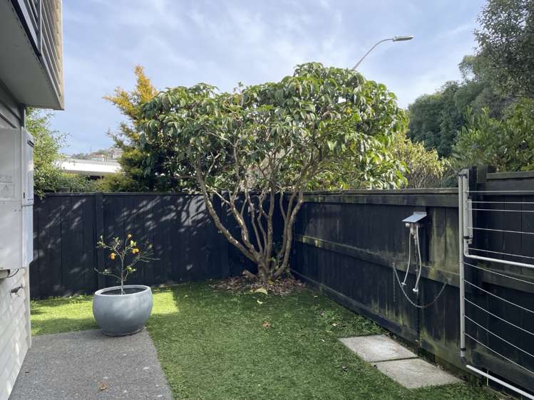 2/97A Waikowhai Street 1318_9