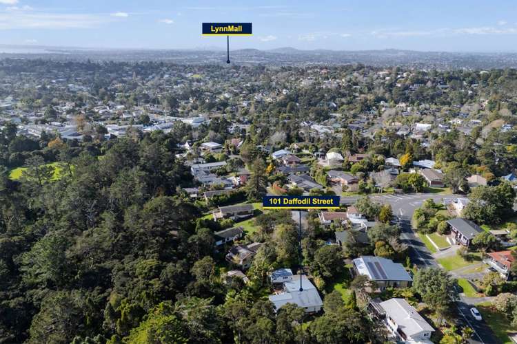 101 Daffodil Street Titirangi_32