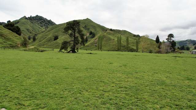 450 Ramaroa Road Aria_1