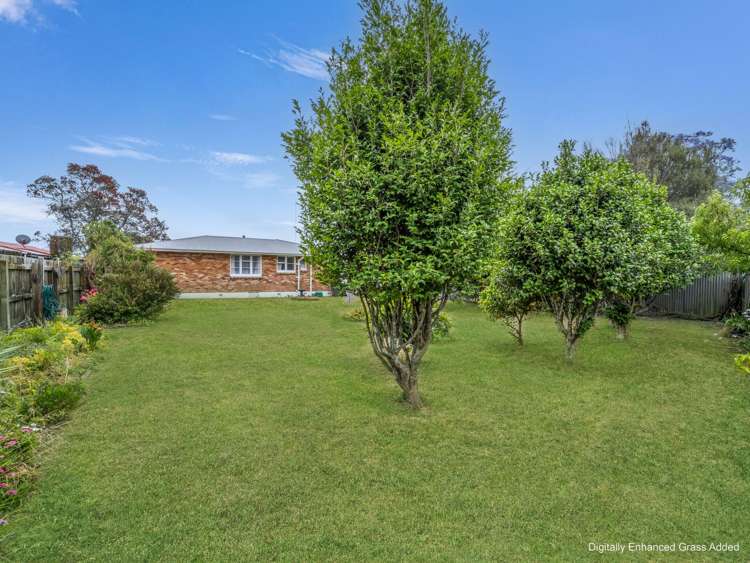 133 Douglas Street Whakatane_6