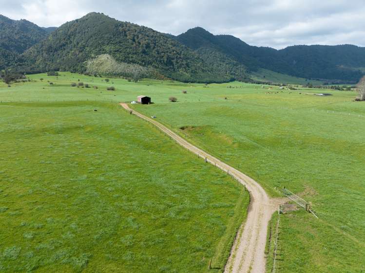 2044 Old Te Aroha Road Gordon_5