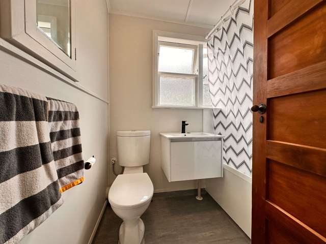 45 Milton Road Bluff Hill_4