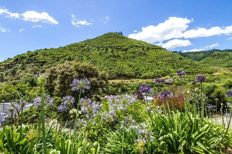 69a Robinson Road The Brook_1