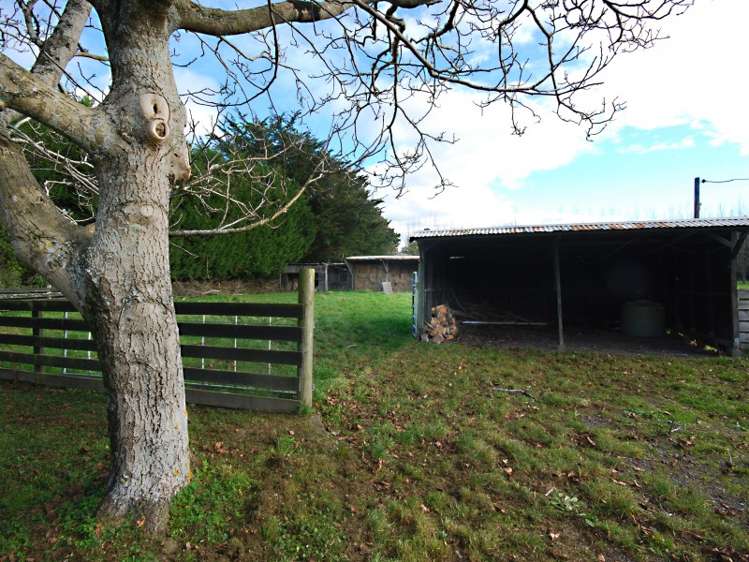 225 Upper Manaia Road Upper Plain_13