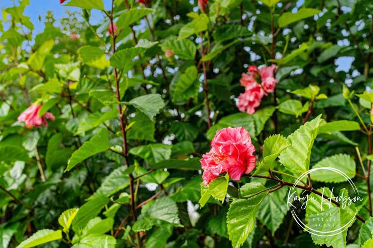 14 Woodland Road Maungaturoto_32