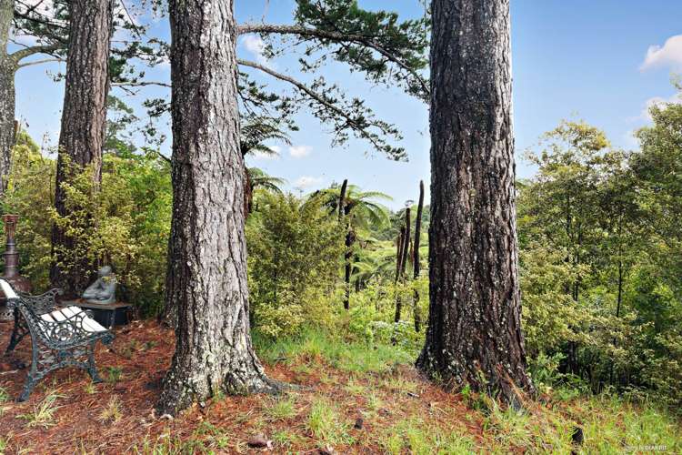 794 Ponga Road Opaheke_7