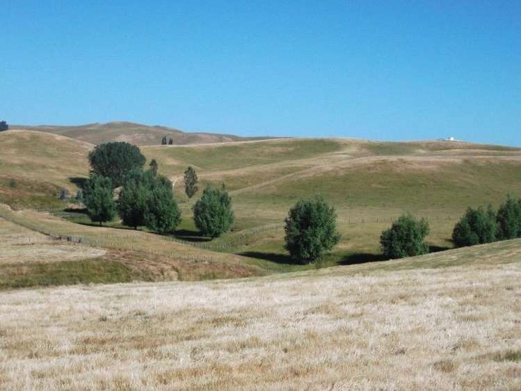 66 Jg Wilson Drive Waipukurau and Surrounds_1