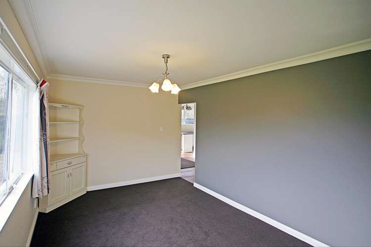 10 Petticoat Lane Doyleston_15