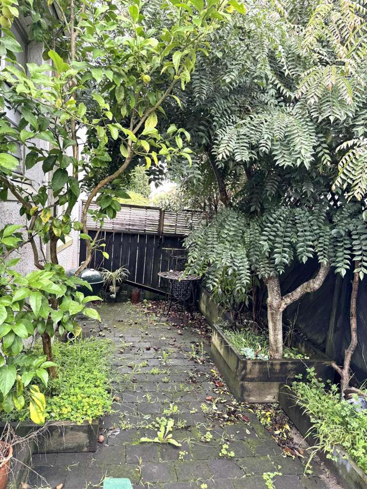 3/157A Great South Road Greenlane_9