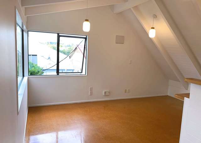 26A Dryden Street Grey Lynn_1