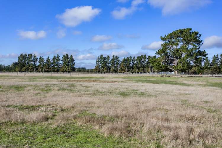 663 Poyntzs Road West Eyreton_19