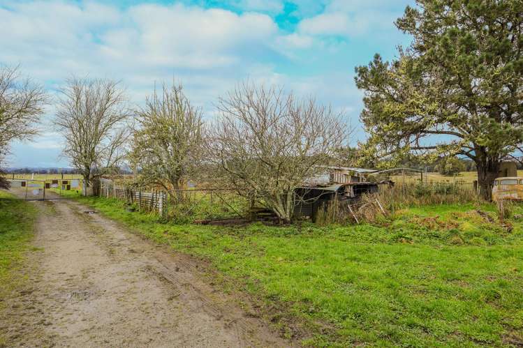 854 Nelson Creek Road Hochstetter_19