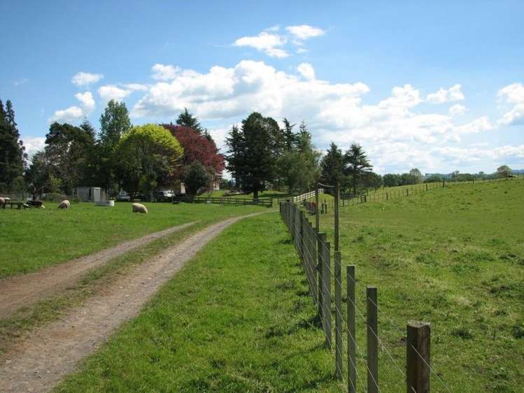 53 Worth Road Putaruru_9