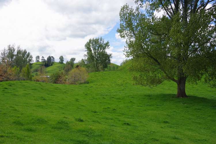 431 Arataki Road Mangakino_15