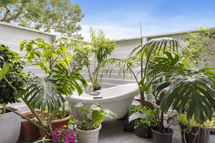 6 Valdese Rise Browns Bay_18