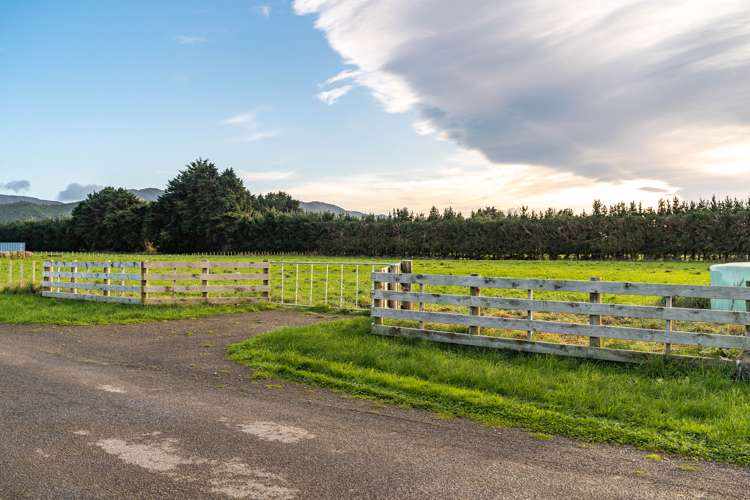 64b Thomas Road Carterton_8