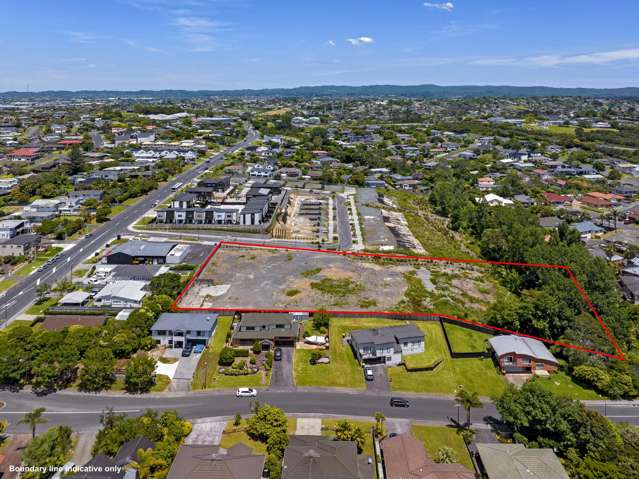 38-56 Moire Road Massey_2