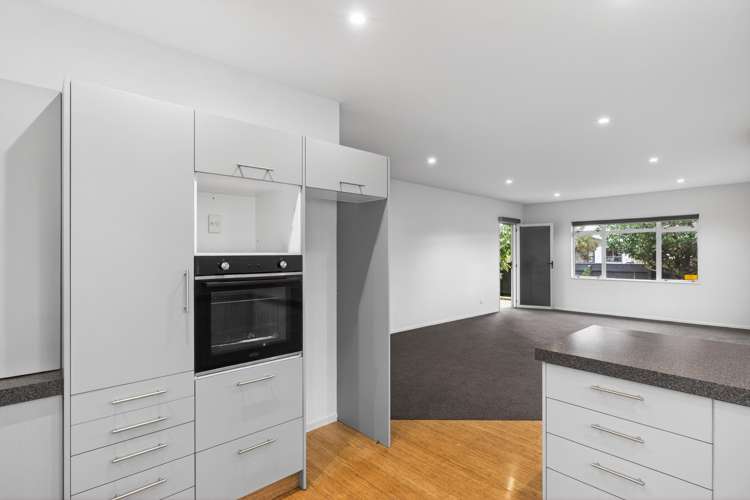 96 Awapuni Road Awapuni_1