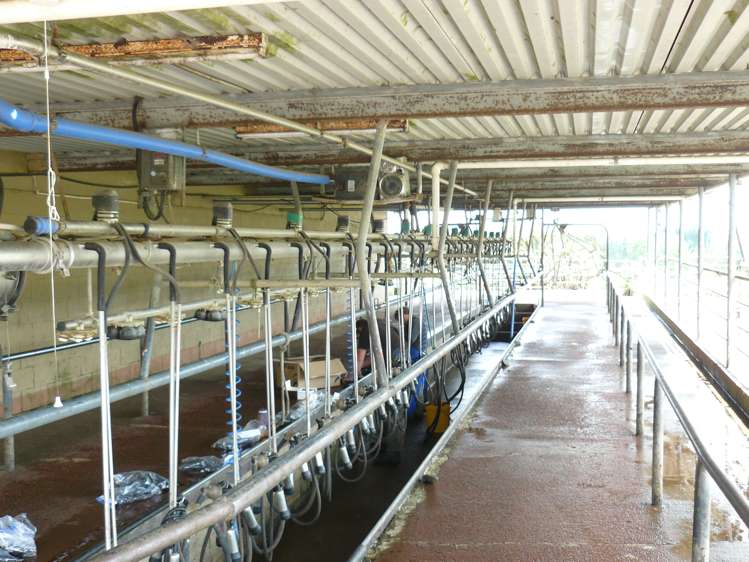 101 Pullin Road Ruatangata_12